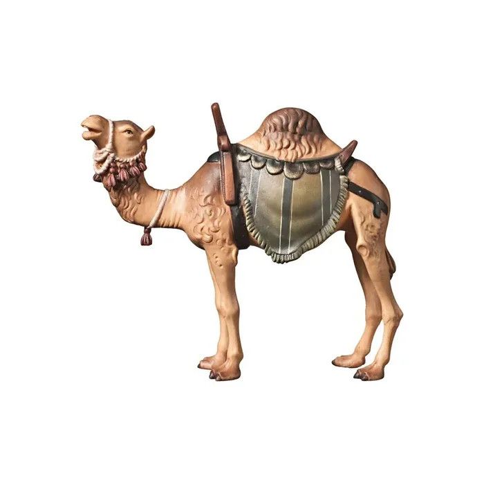 A-Camel