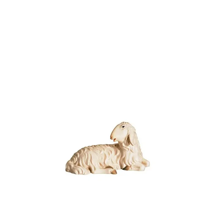 A-Sheep looking left