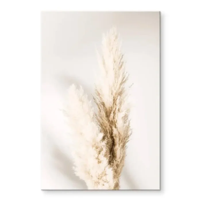Acrylglasbild 1X Studio – Gebundenes Pampasgras