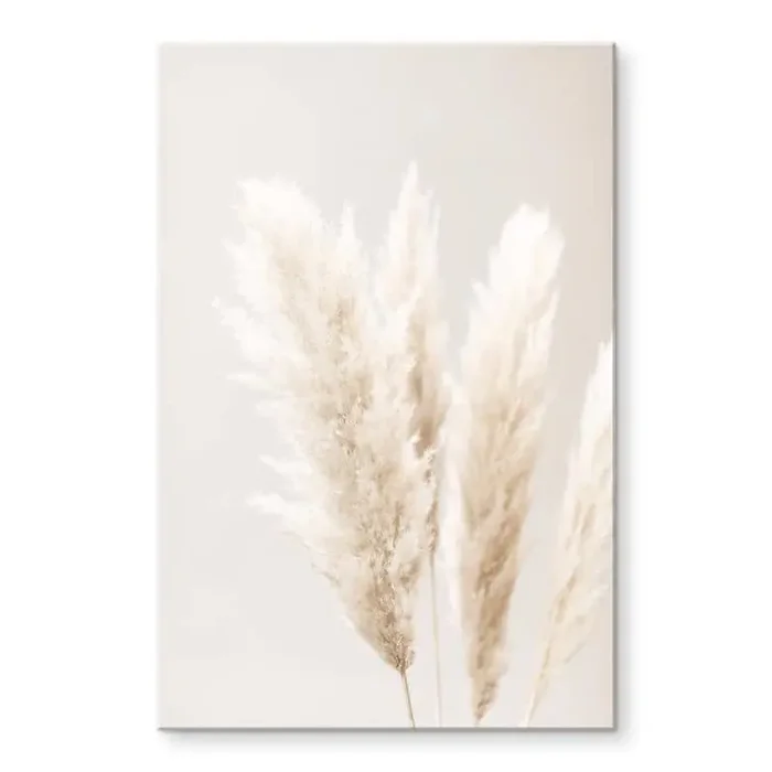 Acrylglasbild 1X Studio – Pampasgras