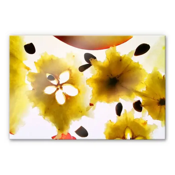 Acrylglasbild Abstract Fruits