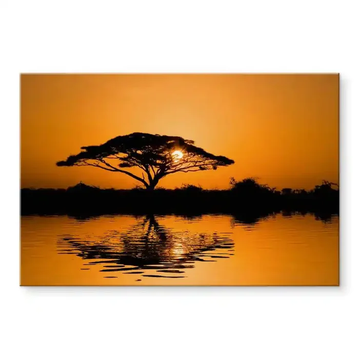 Acrylglasbild Afrika