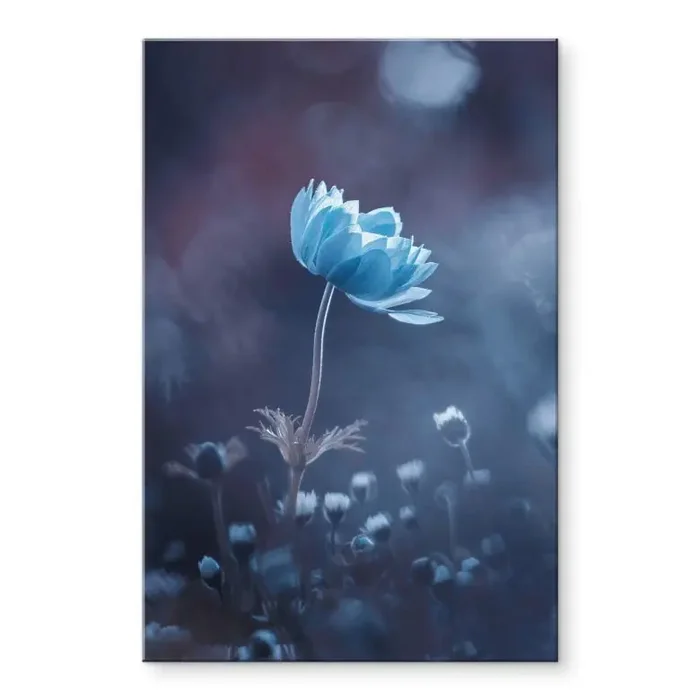 Acrylglasbild Bravin – Die blaue Blume