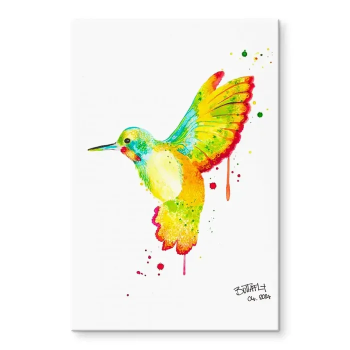 Acrylglasbild Buttafly – Kolibri