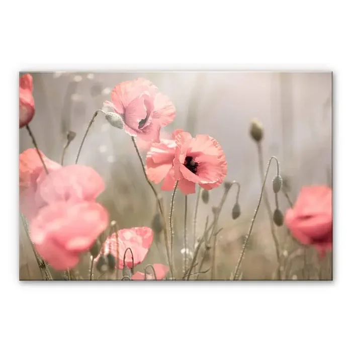 Acrylglasbild Delgado – Mohnblumenromantik