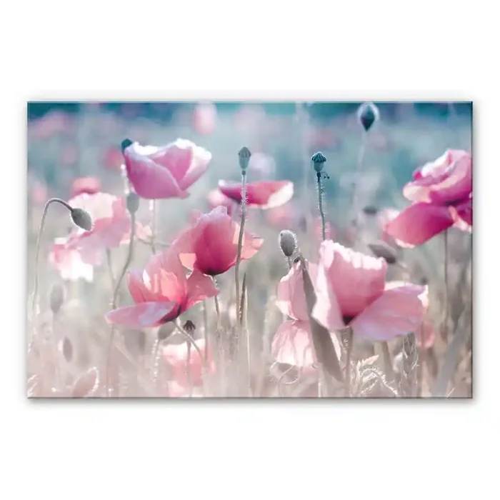 Acrylglasbild Delgado – Mohnblumenwiese