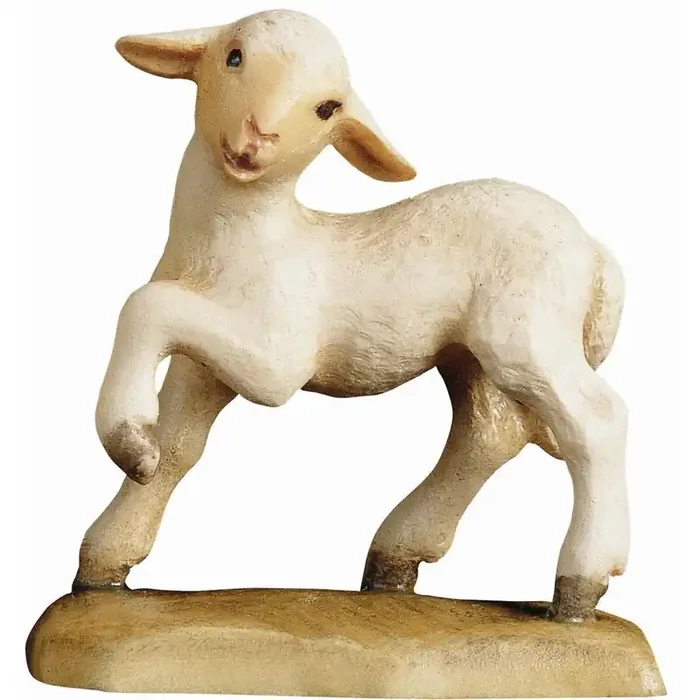 Agnello – zampa alzata