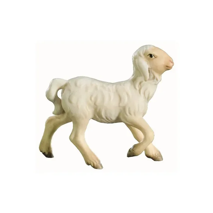 Agnello che corre