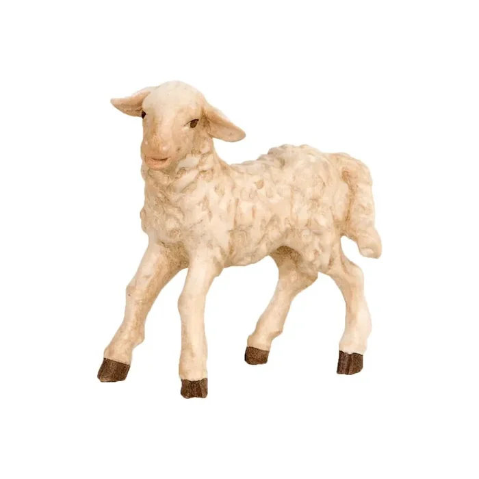 Agnello in piedi con sguardo rivolto a sinistra