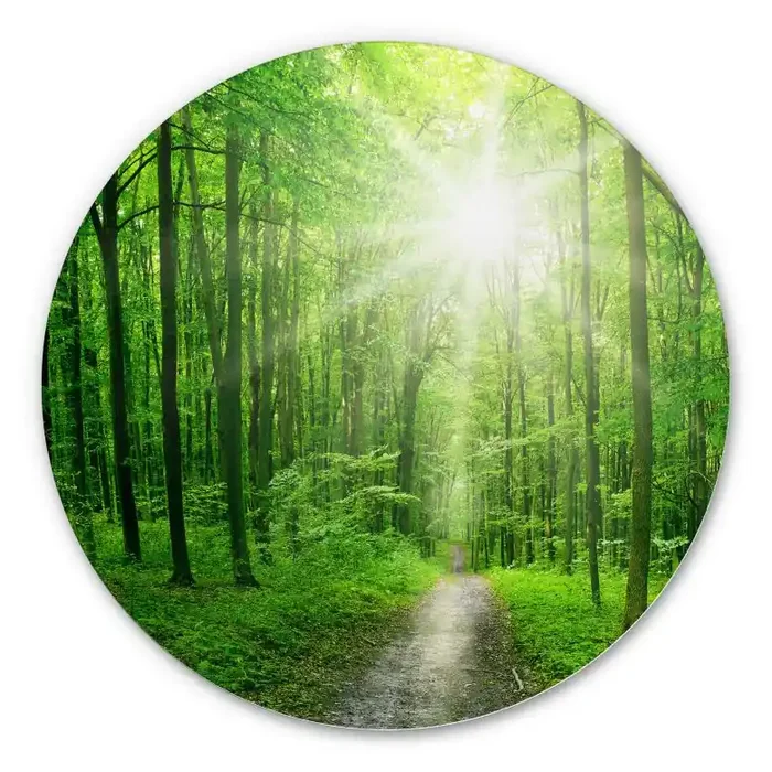 Alu-Dibond – Sunny forest – Rund