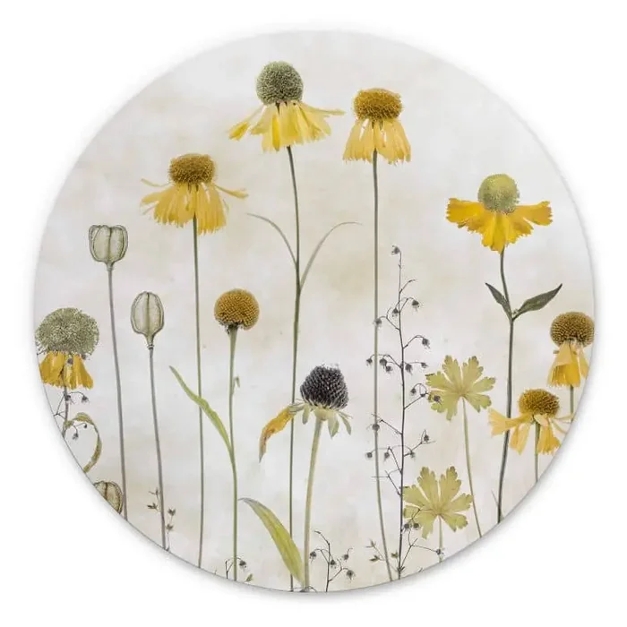 Blumen Wandbild Sonnenbraut – Alu-Dibond Rund – Disher
