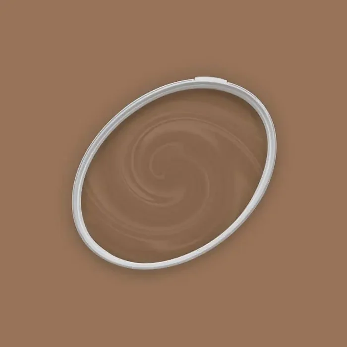 Braun Wandfarbe seidenmatt I Awesome Anis behagliche und ruhige Raumatmosphäre schaffend THE COLOR KITCHEN