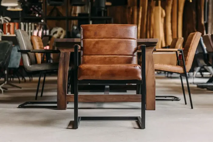 Buffaloleder Polsterstuhl freischwingend Elliot