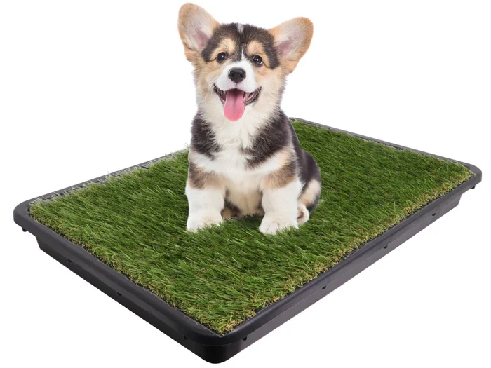 Ersatz Kunstrasen für Hundetoiletten – 43x45cm