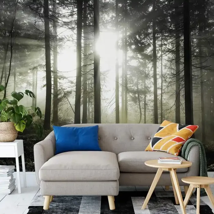 Fototapete – Sonnenstrahlen im Wald Gelb