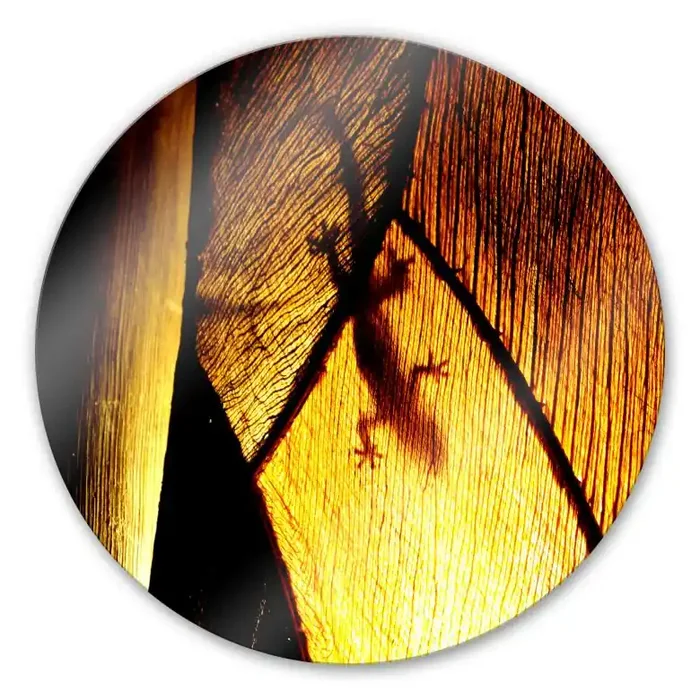 Glasbild Schattenspiel – rund