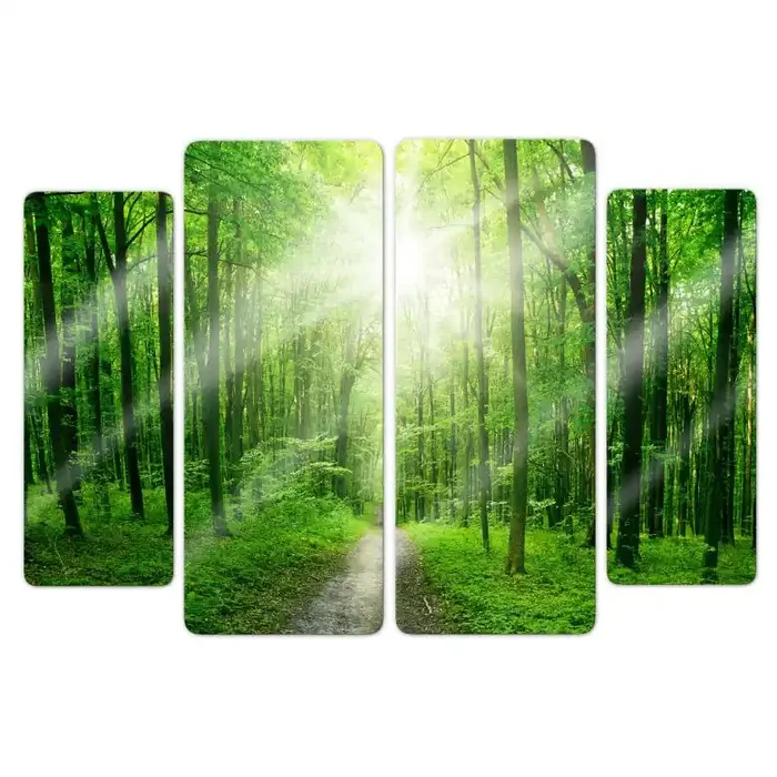 Glasbild Sunny Forest (4-teilig)