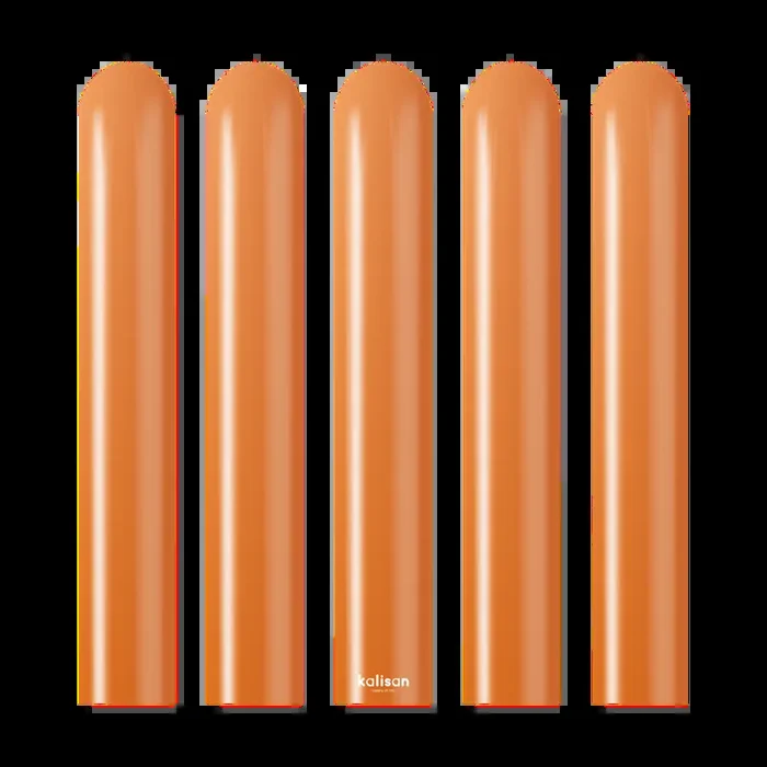 Glimmerfarn Kupfer 38 cm