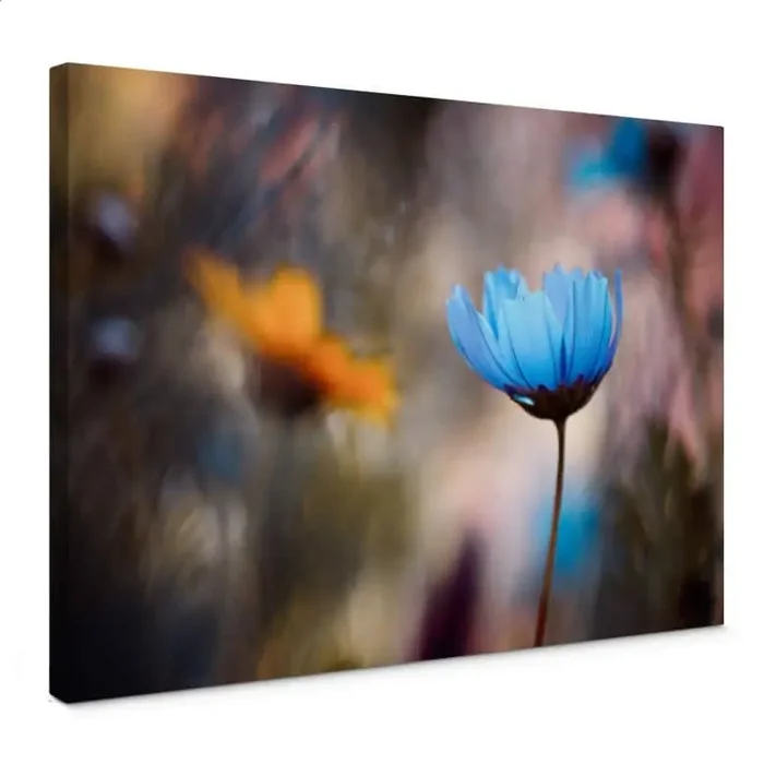 Leinwandbild Bravin – Tanzende Blumen