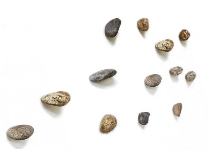 Minottiitalia Meteore – Wandgarderobe – Set 5