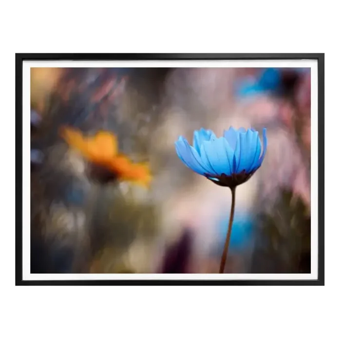 Poster Bravin – Tanzende Blumen