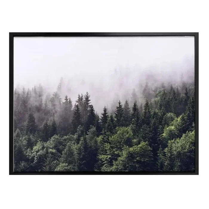 Poster Nebliger Wald