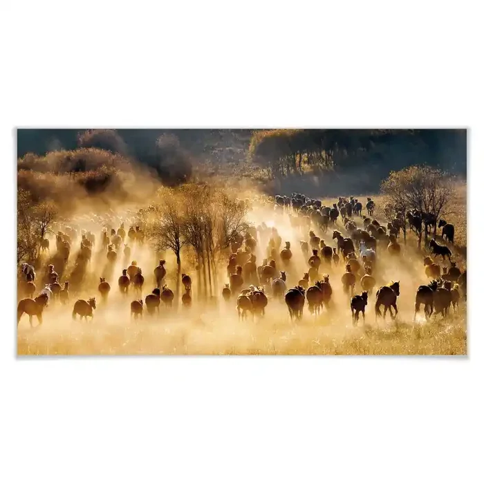 Poster Zhu – Wildpferde in den Bergen – Panorama