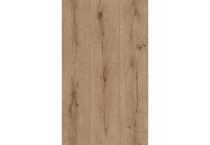 Rasch Holzoptik Vliestapete Black Forest 2016 Holz braun