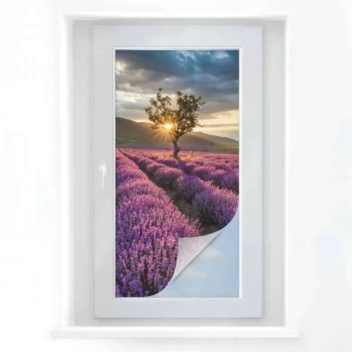 Sichtschutzfolie Lavendelblüte in der Provence –