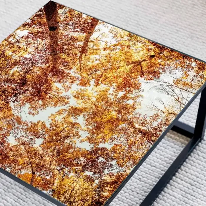 Tischplatte aus Glas – Goldende Wipfel – Quadratisch