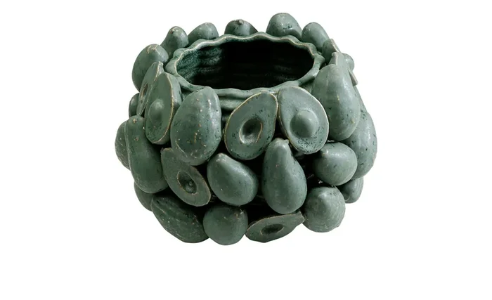 Vase Avocados