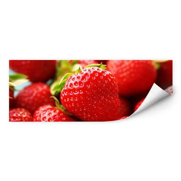Wallprint Erdbeeren aus dem Garten – Panorama