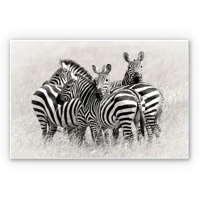 Wandbild Trubitsyn – Zebras in der Savanne