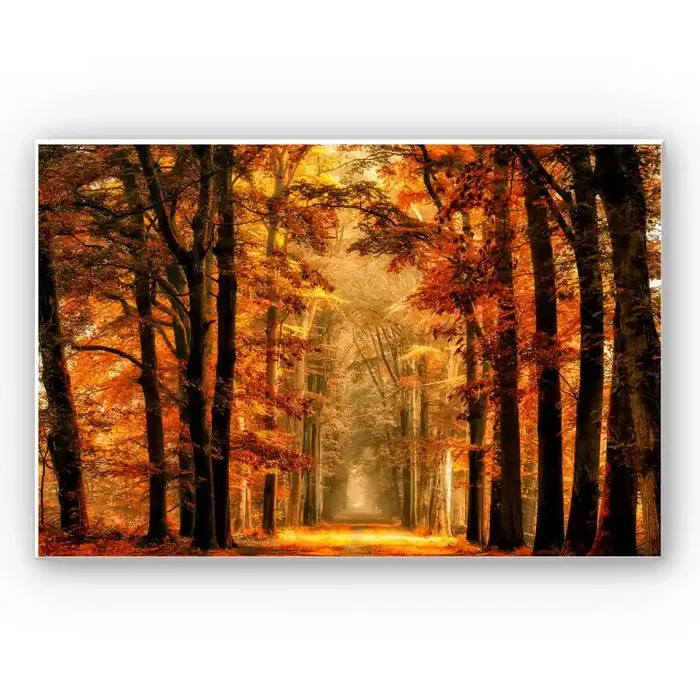 Wandbild van de Goor – Herbstallee