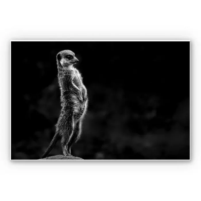 Wandbild van Son – Wachsamkeit