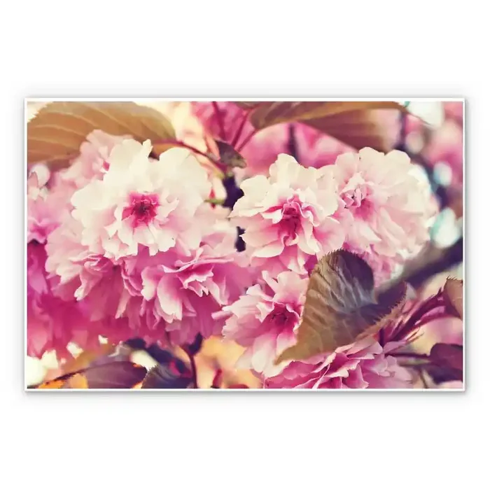 Wandbild Vintage Kirschblüten