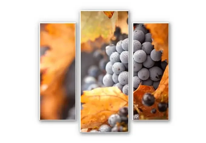 Wandbild Wein im Herbst (3-teilig)