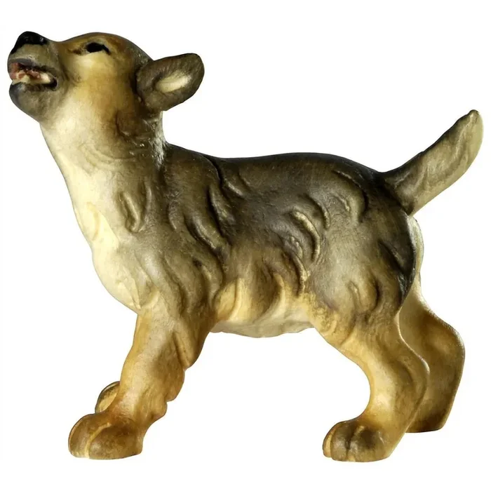 Wolf puppy – head left