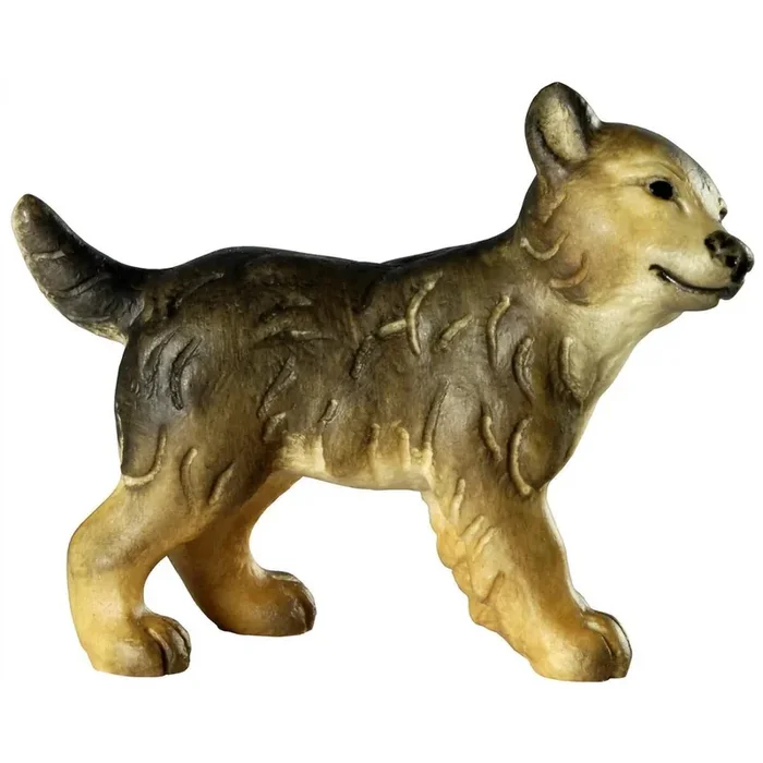 Wolfswelpe – Kopf nach rechts