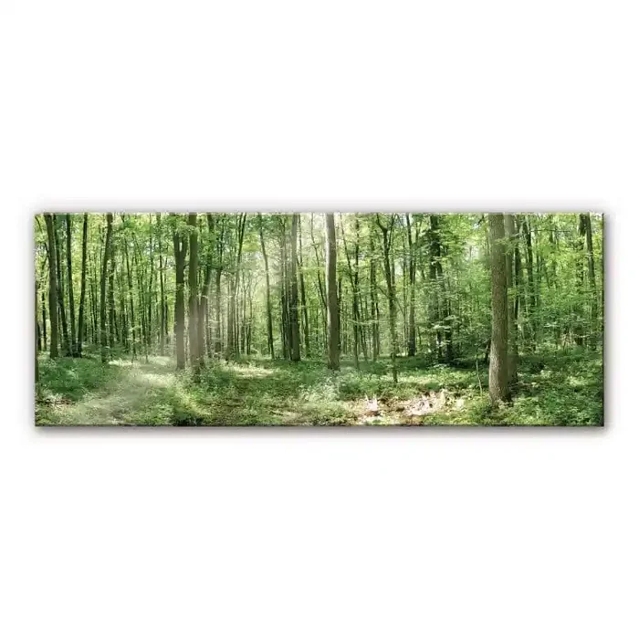 XXL Wandbild Waldpanorama 02