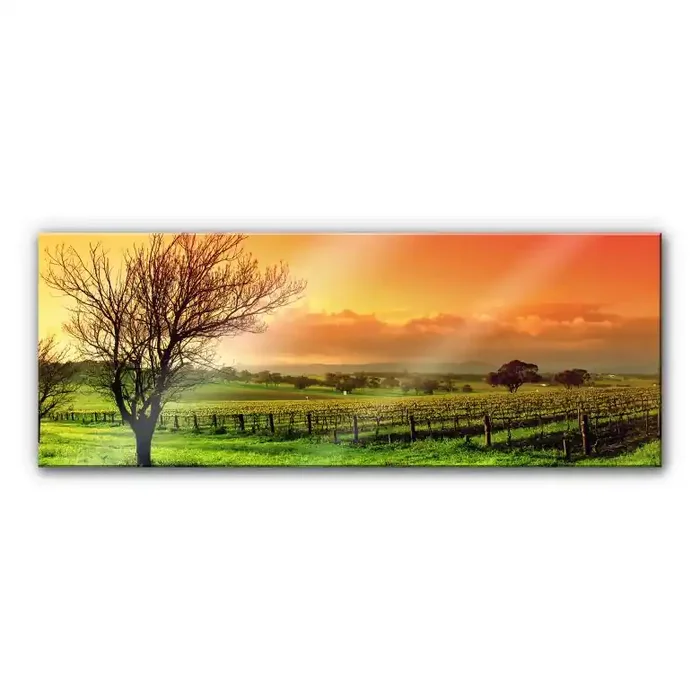 XXL Wandbild Weinlandschaft – Panorama